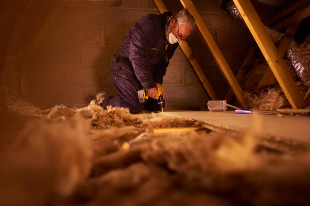 Best Cellulose Insulation in Davenport, WA